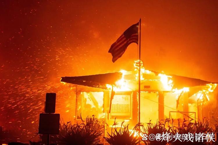 德雷森：南看台燃放烟火行为无法容忍